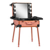 Make-up Koffer Mobiel Station T-27 met Verlichte Spiegel Roségoud